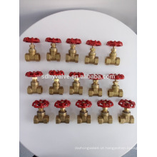 HYFY 1/2"-4" 200wog Forged Brass Lockable Gate Valve with Prices